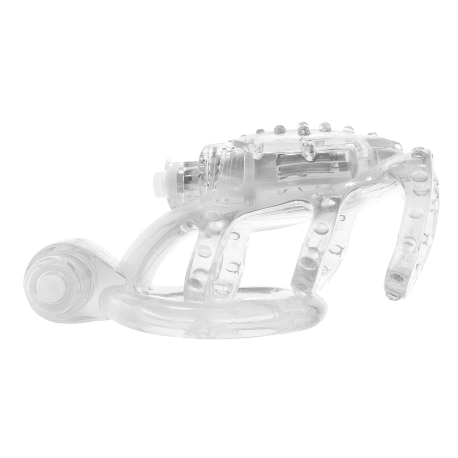 DUAL VIBRATING COCK CAGE
