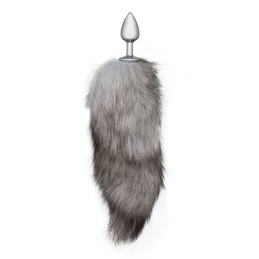GRAY AND WHITE FOX