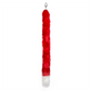 RED AND WHITE FOX