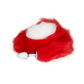 RED AND WHITE FOX